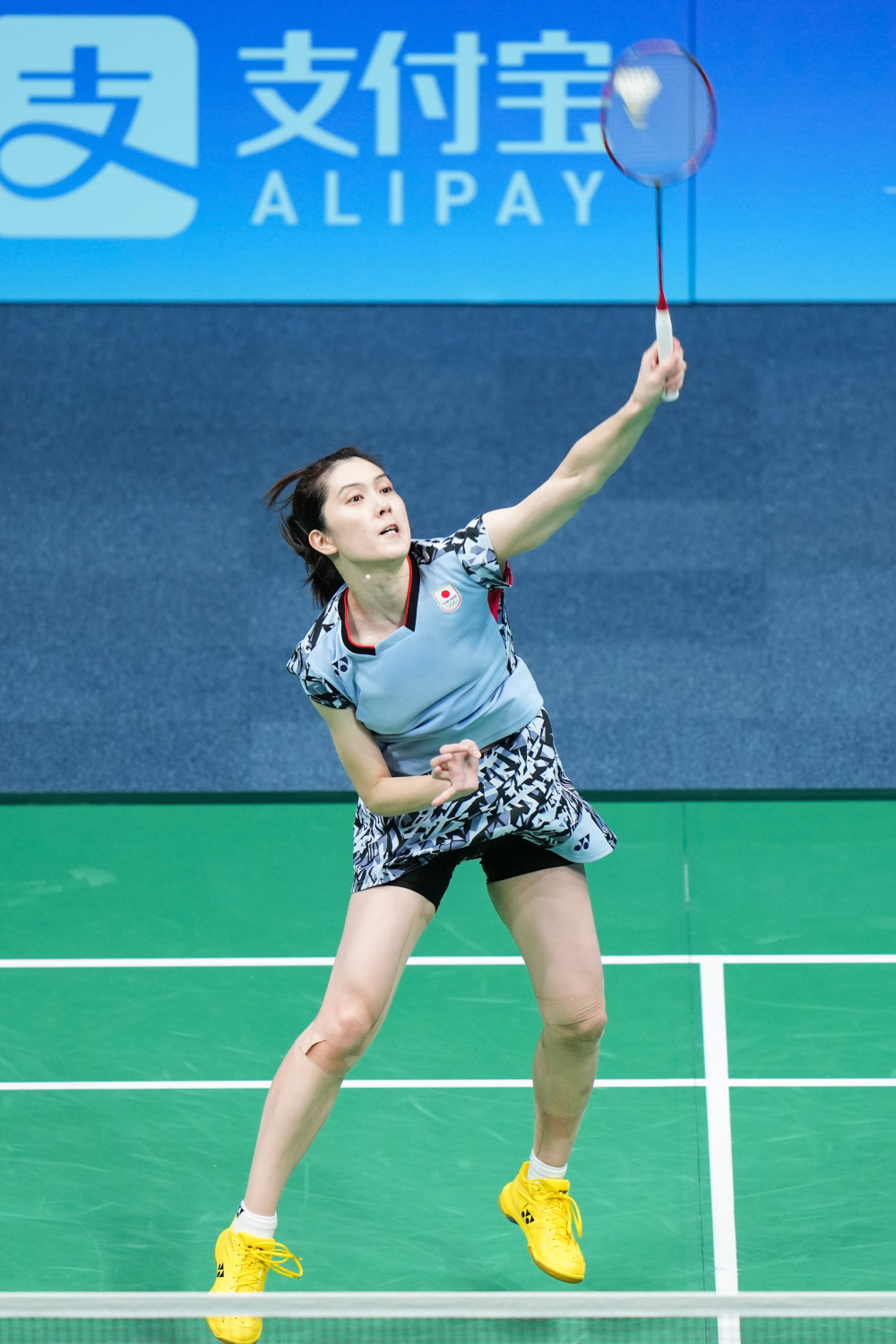 供了切磋的 供了切磋的